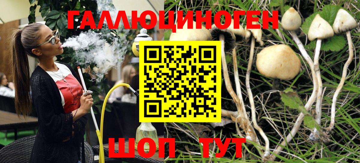 Рыбинск  Галлюциногенные грибы мицелий  Вход с VPN 