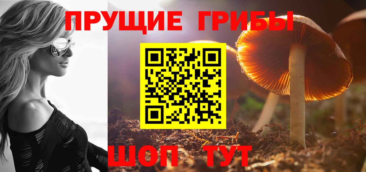 Псилоцибиновые грибы мицелий Рыбинск